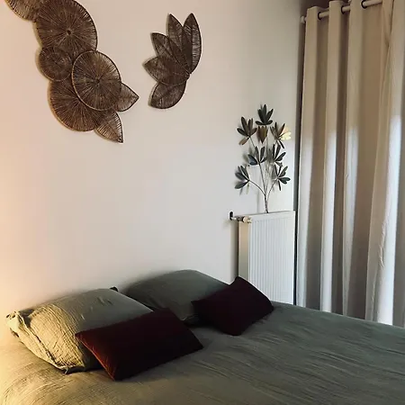 Apartman Le Valentino - Parking And Thermal Baths 5 Min