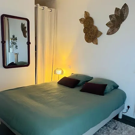 Apartman Le Valentino - Parking And Thermal Baths 5 Min Aix-les-Bains