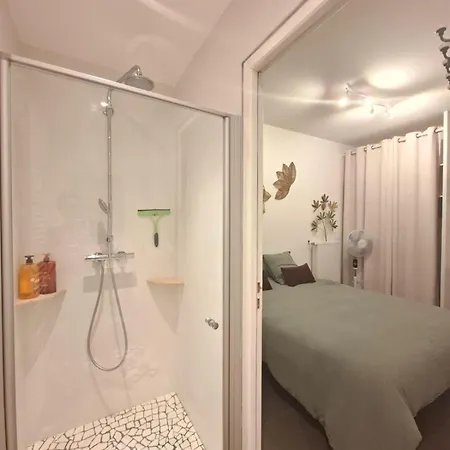 Apartment Le Valentino - Parking And Thermal Baths 5 Min Aix-les-Bains